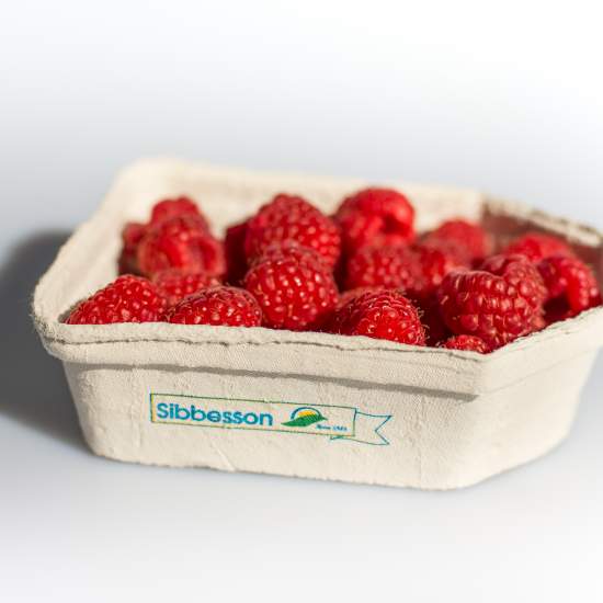 product/3.-beh-llare-fiber-berigard-hallon