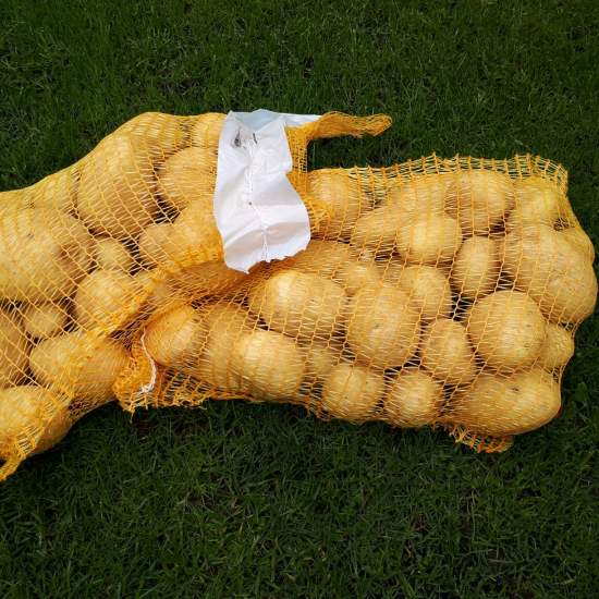 product/standard-mesh-bags